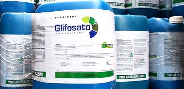 Glifosato