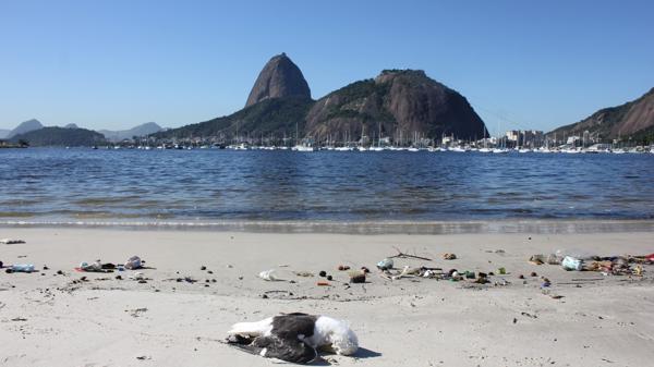 rio-olimpicos-medio-ambiente