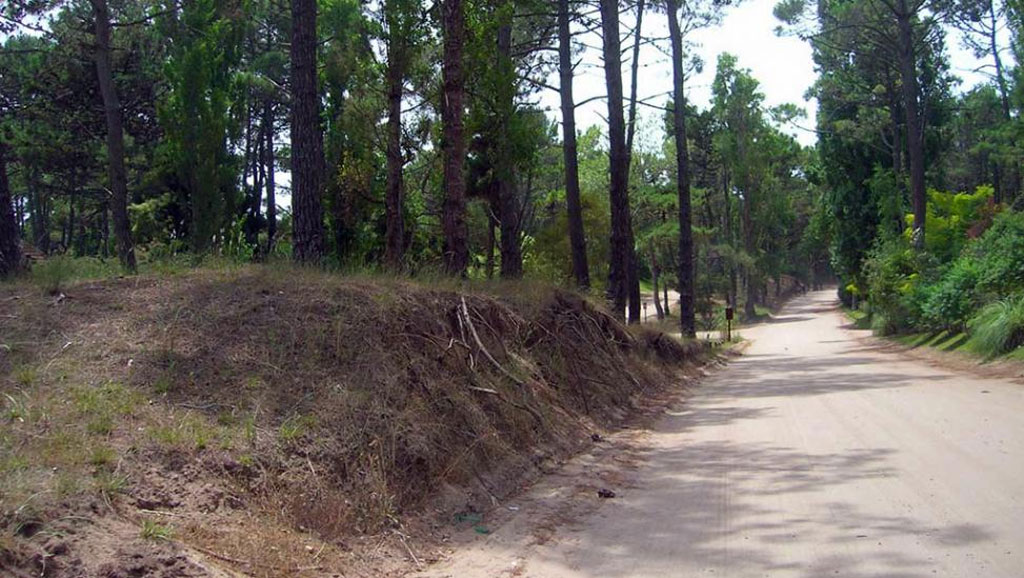 accidente-de-cuatriciclo