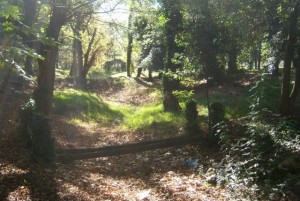 casa-del-puente-terreno