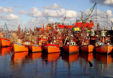 lanchas-amarillas-mar-del-plata-puerto-pesca