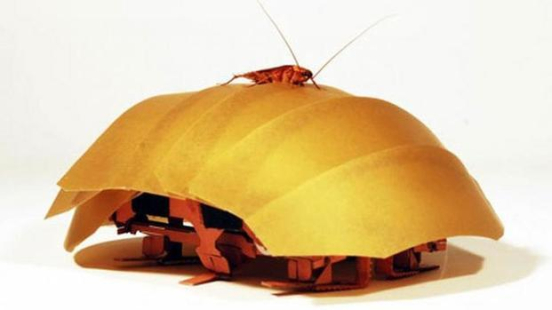robot-cucaracha