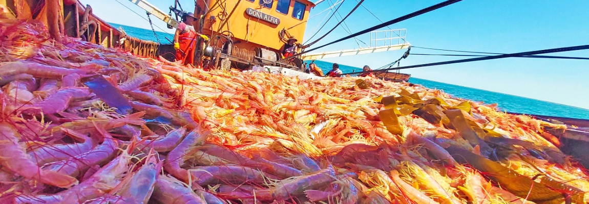 Crisis en la pesca