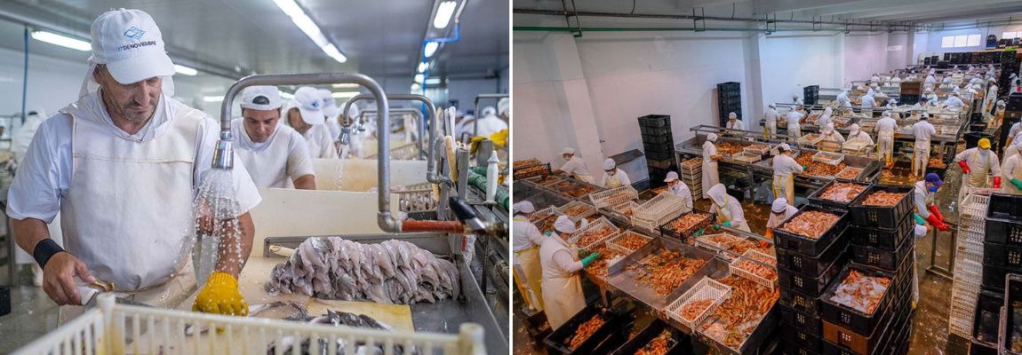 La pesca y la radiografía