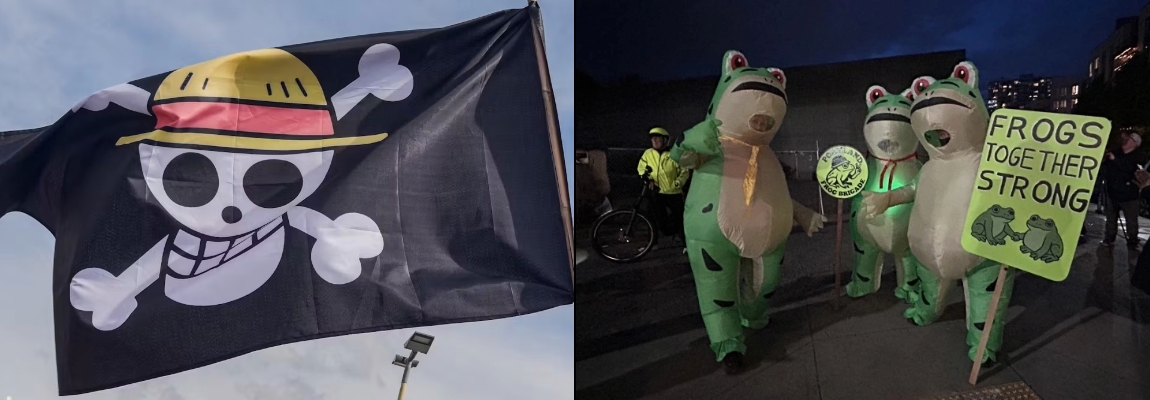 De ranas, piratas y protestas